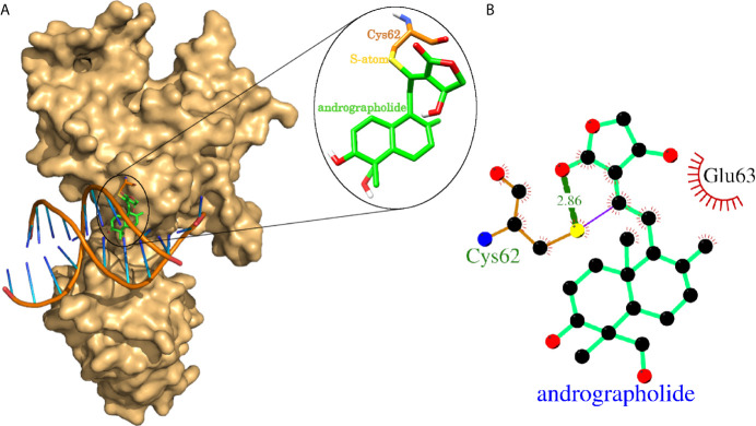 Figure 4