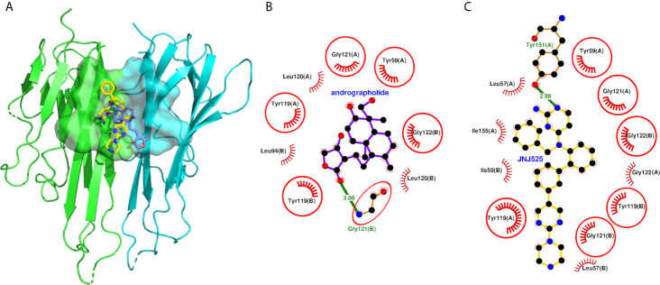 Figure 5