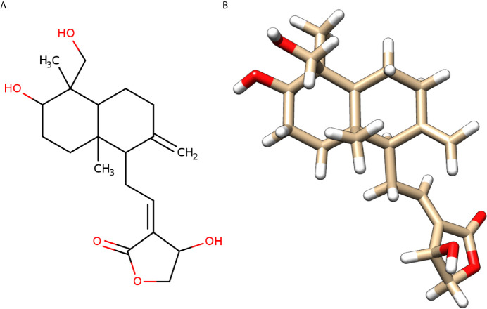 Figure 3