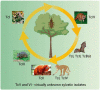 Fig. 2: