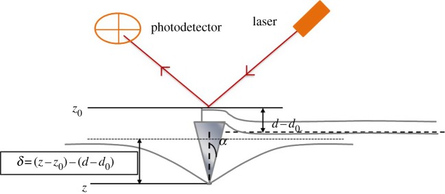 Figure 2.