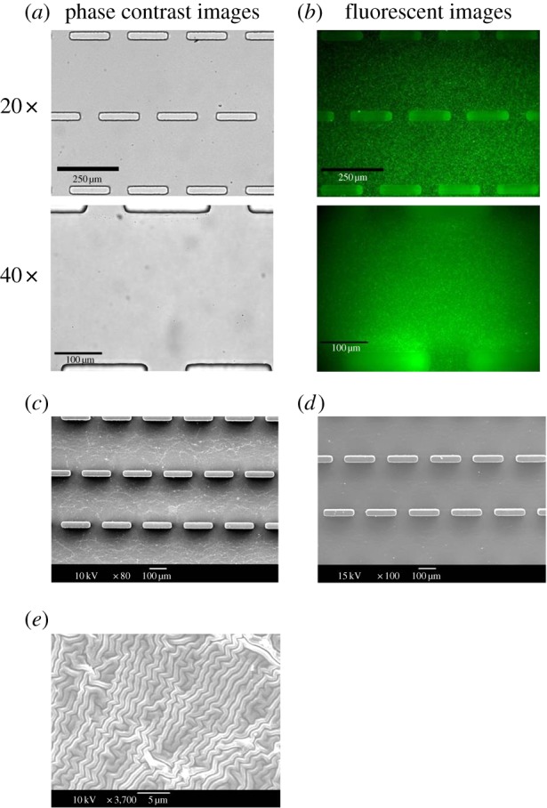 Figure 3.