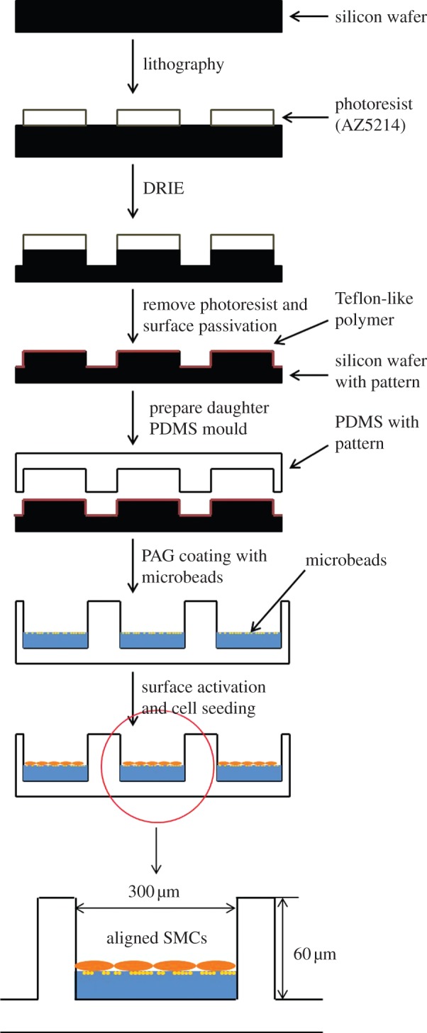 Figure 1.