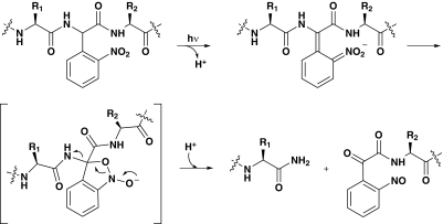 Scheme 1.