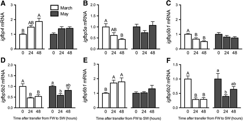 Fig. 6