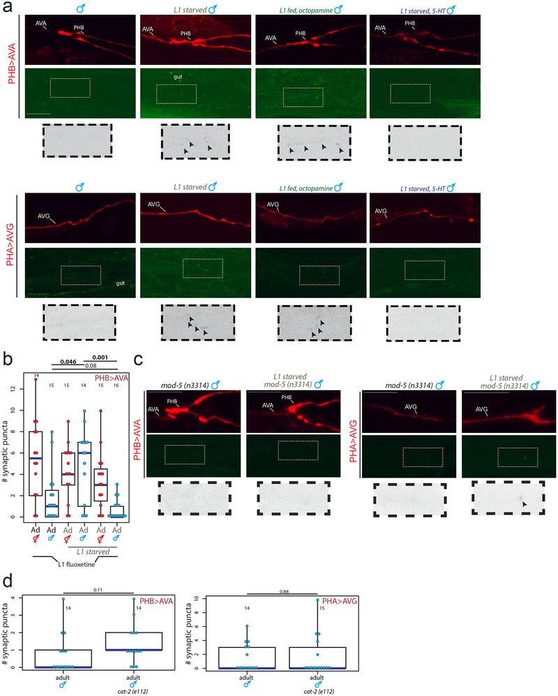 Extended Data Figure 3: