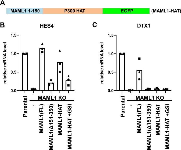 FIG 6