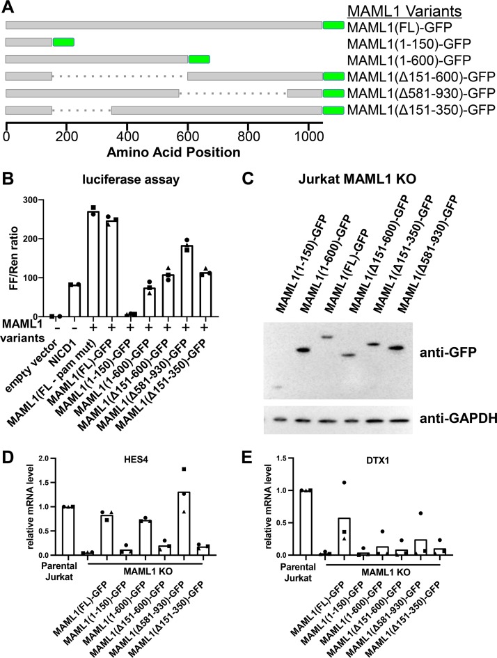 FIG 3