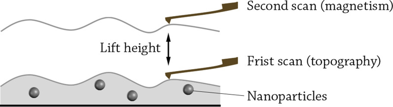 Fig. 7