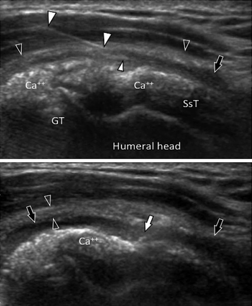 Figure 5