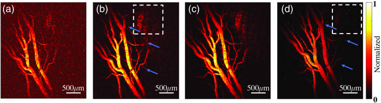 Fig. 2