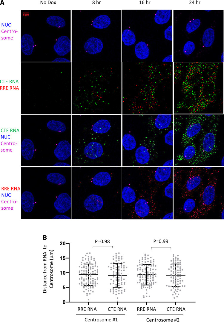 FIG 6