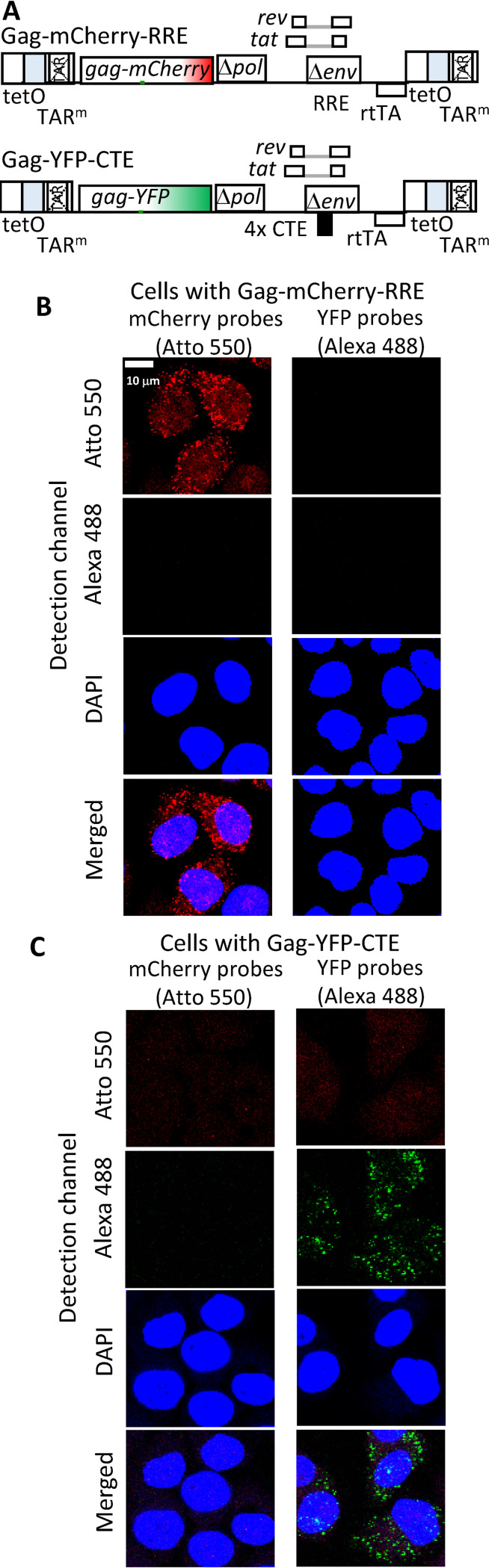 FIG 4