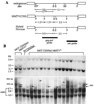 FIG. 3