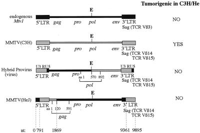 FIG. 7