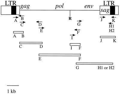 FIG. 1