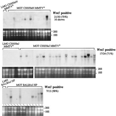 FIG. 6