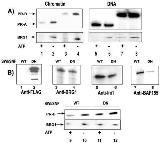 FIG. 5.