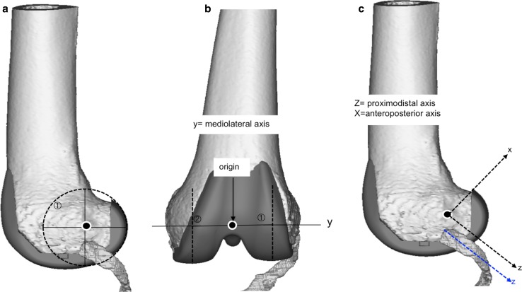 Fig. 7