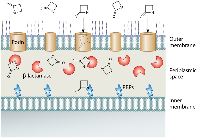 FIG 2