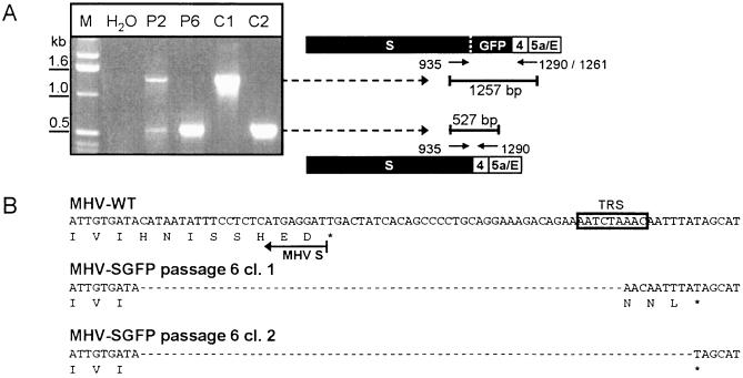 FIG. 6.