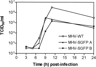 FIG. 5.