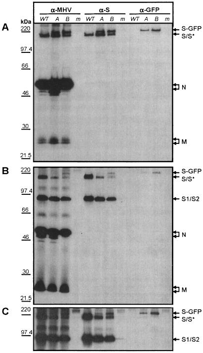 FIG. 7.