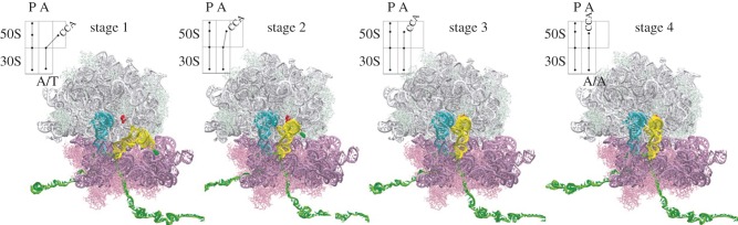 Figure 6.