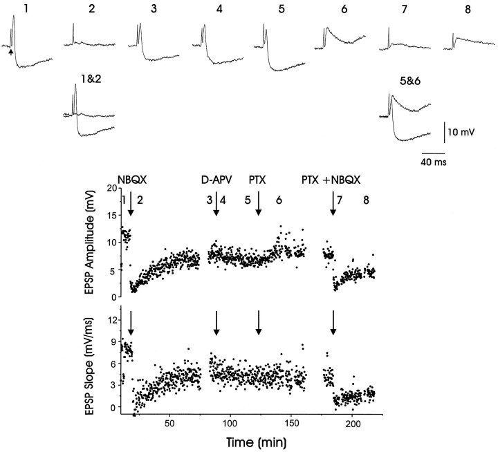 Fig. 9.