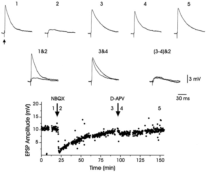 Fig. 8.