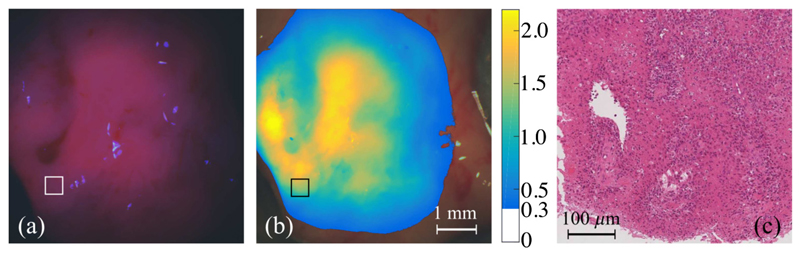 Fig. 10