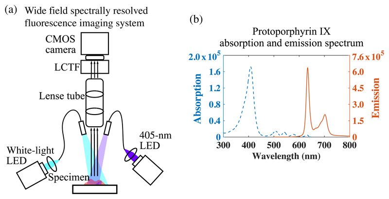 Fig. 1