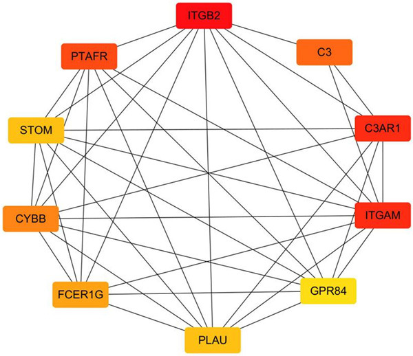 Figure 4