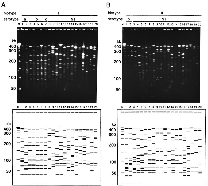 FIG. 1