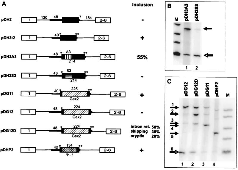 FIG. 6