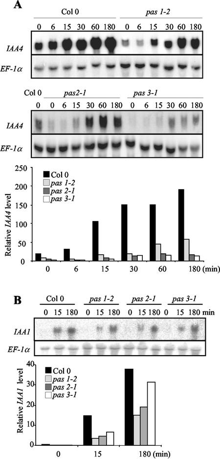 Figure 6.