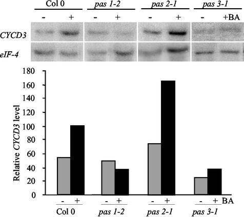 Figure 5.