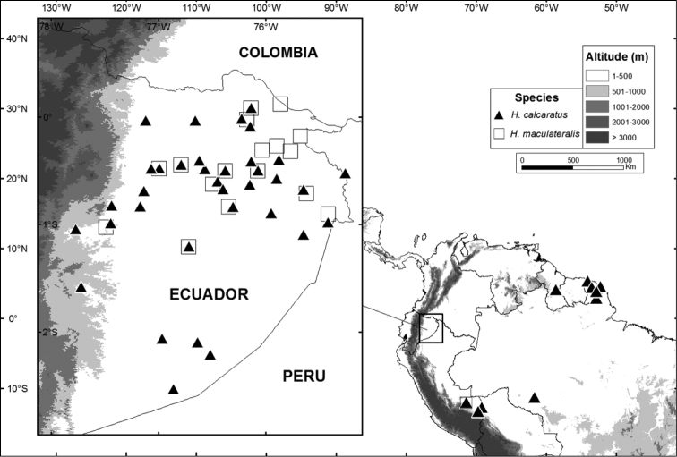 Figure 17.