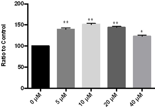 Figure 5