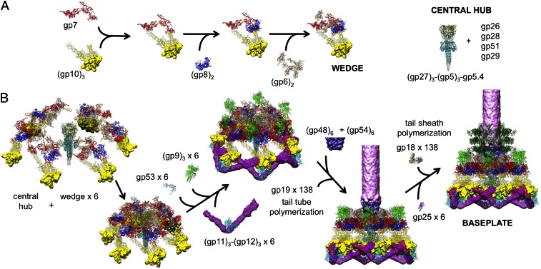 Fig. 4.