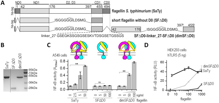 Fig 4