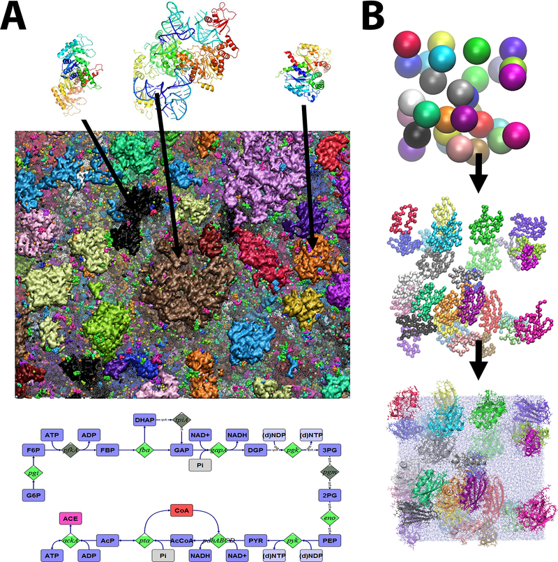 Figure 1: