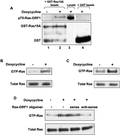 FIG. 5.