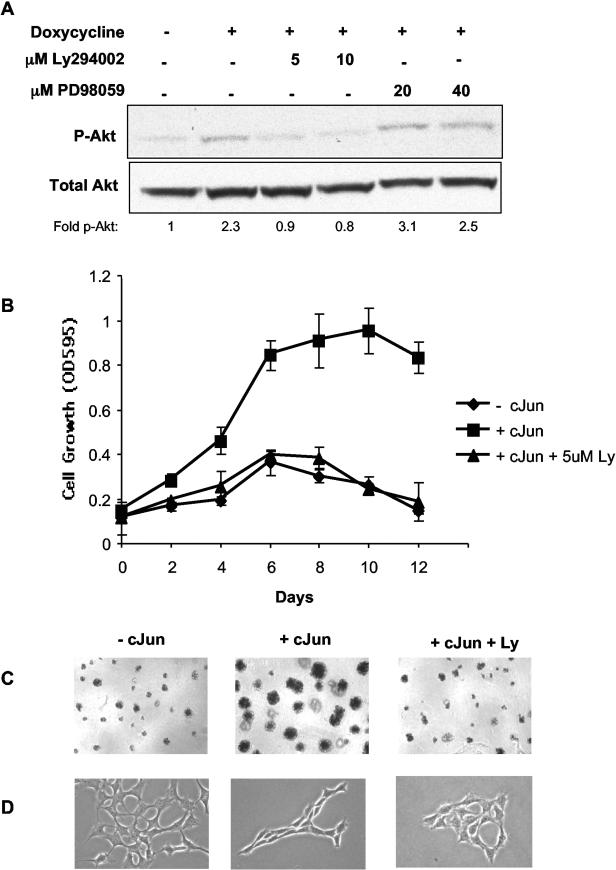 FIG. 8.