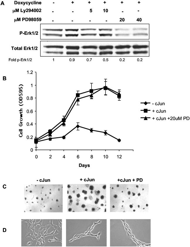 FIG. 9.