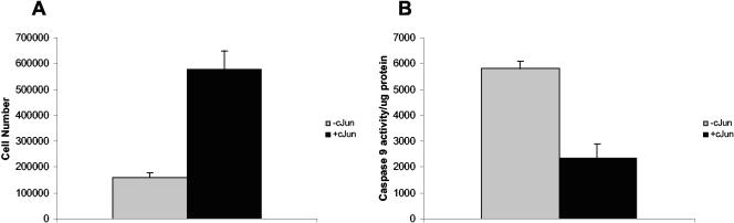 FIG. 11.