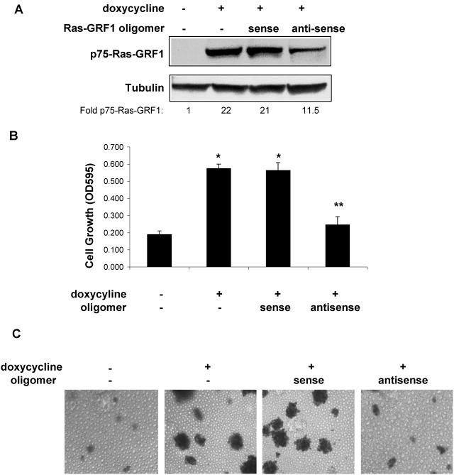 FIG. 4.