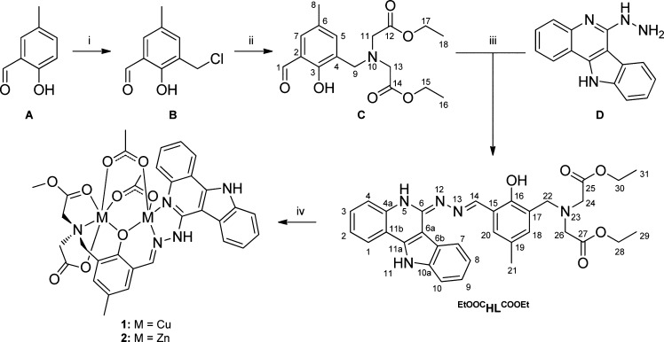 Scheme 1