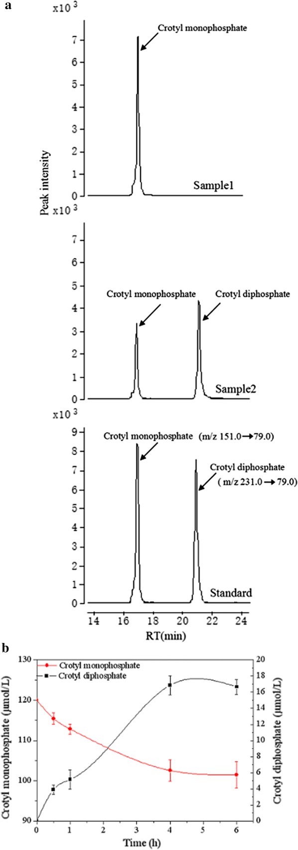 Fig. 3