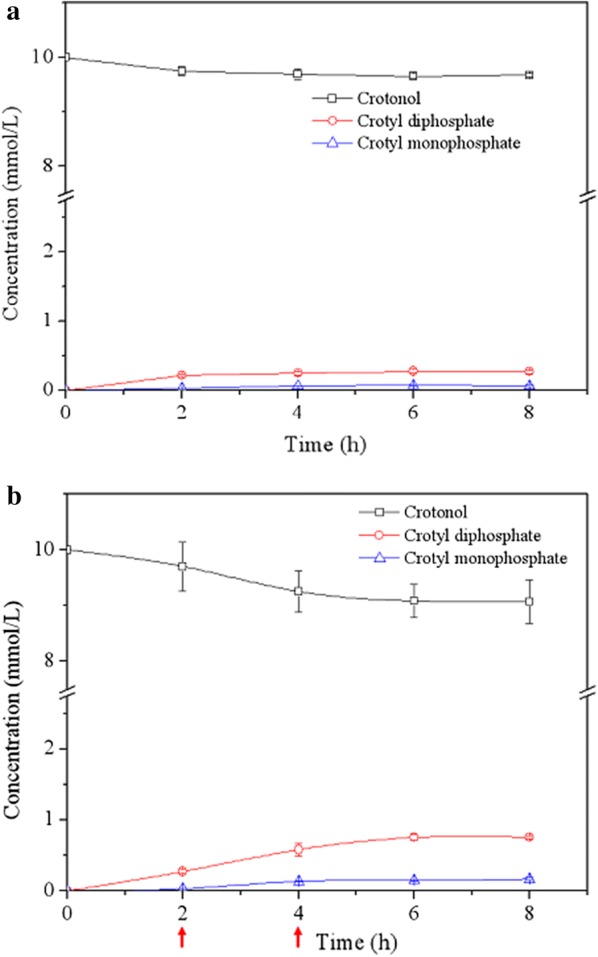 Fig. 6